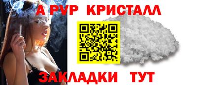 стафф Донецк