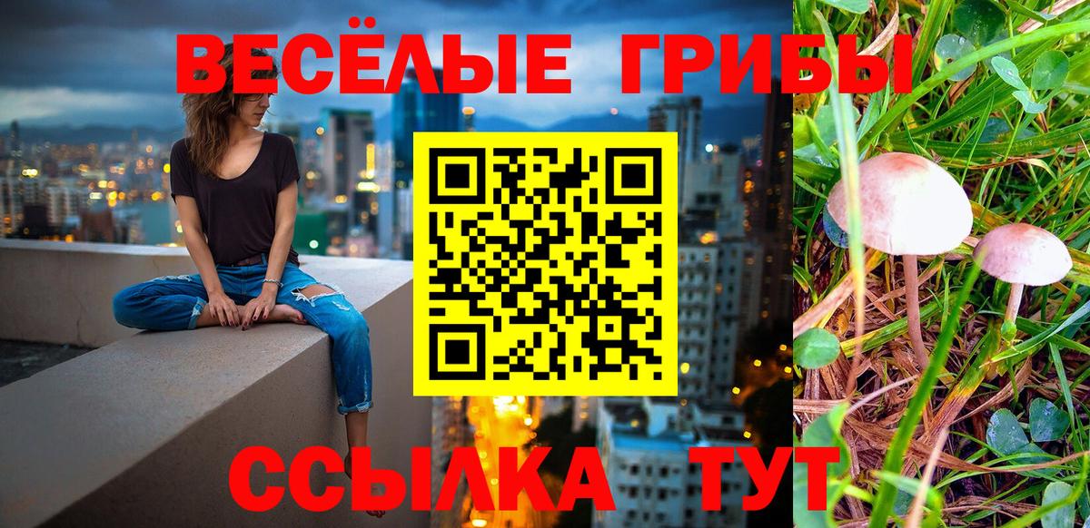 Псилоцибиновые грибы ЛСД  Вход с VPN  дарнет шоп  Мурманск  Псилоцибиновые грибы GOLDEN TEACHER 